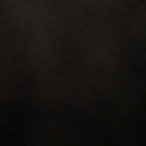 Meet your Posher, Shane